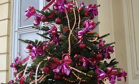 15min.lt skaitytojos Rasos galerija: Kalėdos Vienoje