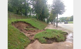 Liūtis Kėdainiuose pridarė žalos