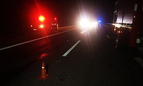 Avarija &Scaron;ilalės rajone pareikalavo vairuotojo ir briedžio gyvybių