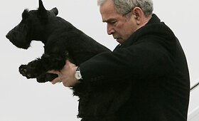 Nugai&scaron;o George'o W.Busho &scaron;uo Barney 