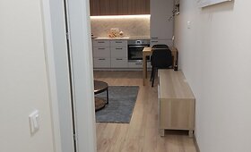 Vilniuje nuomojamas būstas: pasižvalgykite po jį