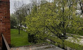Mažytis nuomojamas butukas Kaune