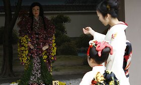 Japonijoje &ndash; chrizantemų festivalis