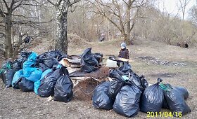 Skaitytojų galerija: akcija &bdquo;Darom 2011&ldquo; 