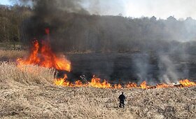 Skaitytojo galerija: Ugniagesiai gesino degančią pievą Rokų apylinkėse