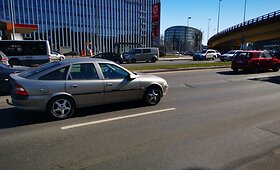 Vilniaus Geležinio Vilko gatvės reljefas