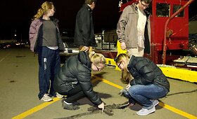 Naująją Zelandiją supurtė žemės drebėjimas