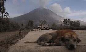 Sinabungo ugnikalnio i&scaron;siveržimas Indonezijoje