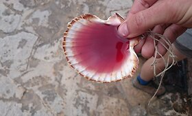 Kelionė kemperiu per Ispaniją