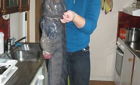 I&scaron;rink gegužės &bdquo;Žūklės laimikį 2011&ldquo;