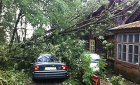 &Scaron;kvalas nuniokojo Utenos rajoną