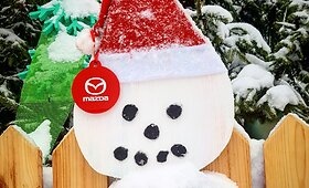 &bdquo;Lietuvos metų automobilis 2018&ldquo; &ndash; &bdquo;Mazda CX-5&ldquo; &ndash; prie&scaron; Kalėdas aplankė Auk&scaron;taitiją