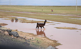Kelionė kalnų keliais i&scaron; Peru į Boliviją
