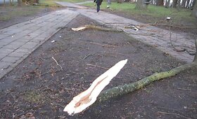 Klaipėdos skulptūrų parkas po audros