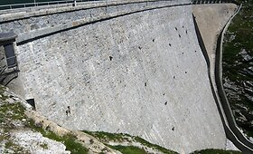 Kalnų ožiai Italijoje nugalėjo gravitaciją