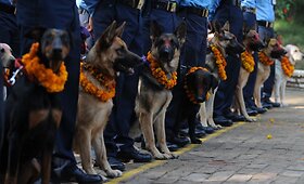 Nepalo policininkai pagal hinduistų tradicijas pagerbė savo tarnybinius &scaron;unis