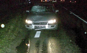 Partrenkta automobilio &Scaron;akių rajone žuvo trylikametė
