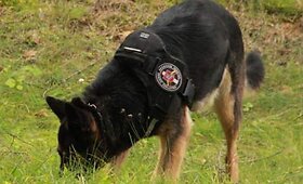 Mokymuose dalyvavusiems pasieniečių &scaron;unims teko gaudyti tikrus kontrabandininkus