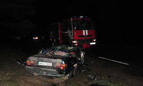 Tragi&scaron;ka kaktomu&scaron;a &Scaron;alčininkų rajone