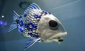 Žuvis robotas plaukioja Londono akvariume