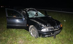 Briedžio ir BMW susidūrimas greitkelyje