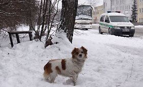 Nelaimės Naugarduko gatvėje padariniai
