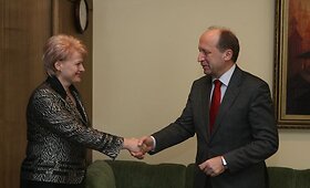D. Grybauskaitė ir A. Kubiliaus Vyriausybė