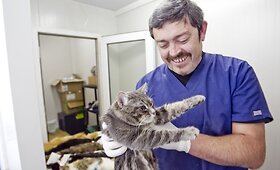 Vietoj gyvūnų žudymo &ndash; sterilizacija 