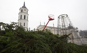 Vilniaus Katedros aik&scaron;tėje statoma kalėdinė eglė