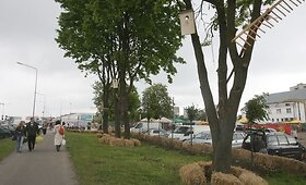 Nauja ūkininkų prekyvietė po atviru dangumi
