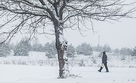 Žiema nesitraukia: Vilnius paskendo sniege