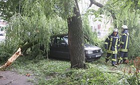 Lūžęs medis Vilniuje užvirto ant automobilio 