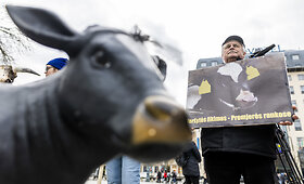 Prie Vyriausybės &ndash; ūkininkų protestas dėl pieno supirkimo kainų