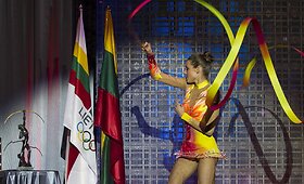 Geriausių 2013 metų sportininkų apdovanojimai