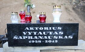 Ant Vytauto &Scaron;apranausko kapo pastatytas paminklas