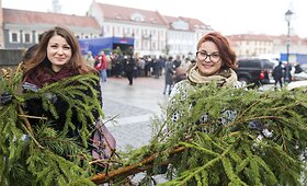 Vilniaus Rotu&scaron;ės aik&scaron;tėje dalintos eglių &scaron;akos