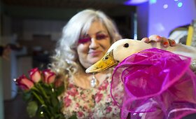 52-ojo Dainos Bilevičiūtės gimtadienio &scaron;ventė