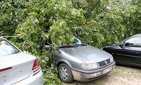 Lūžęs medis Vilniuje virto ant garažo ir automobilių