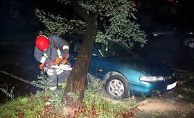 Vilniuje ant automobilio nukrito medis