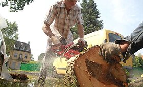 Vilniuje &scaron;alinami audros padariniai