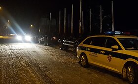 Mi&scaron;kavežiui saugiai sustojus, vairuotoją i&scaron;tiko mirtis