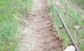 Pasvalio rajone suniokotas siauruko ruožas