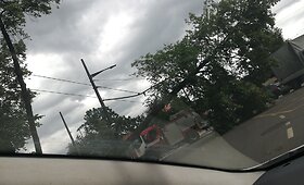 Kauno sankryžoje ant troleibusų laidų pakibo medis