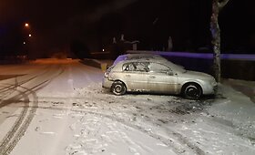 Girtas &bdquo;Toyota&ldquo; vairuotojas Kur&scaron;ėnuose pasijuto lyg bulių kautynėse