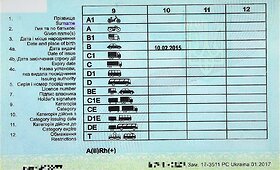 &bdquo;Audi&ldquo; vairavęs užsienietis pateikė dokumento klastotę
