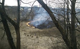 Žolės gaisras prie Grigi&scaron;kių