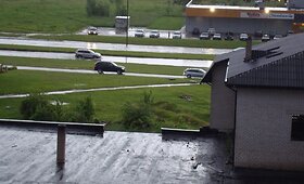Liūtis Kaune 15min.lt skaitytojų akimis