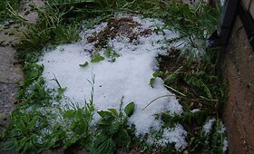Kėdainių rajoną užklupo kru&scaron;a ir &scaron;kvalas