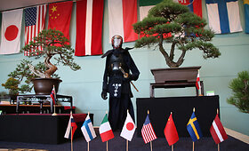 Bonsų grožis Japonijos kultūros festivalyje Alytuje