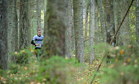 Lietuvos orientavimosi sporto taurės varžybos